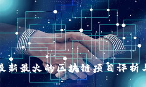  2023年最新最火的区块链项目评析与趋势分析