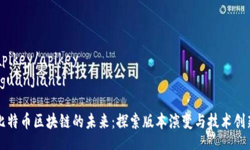 apikey/apikey
/guanjianci  

比特币区块链的未来：探索版本演变与技术创新