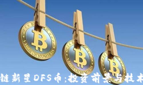 
区块链新星DFS币：投资前景与技术解析