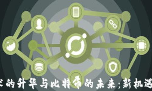 
区块链技术的升华与比特币的未来：新机遇还是泡沫？