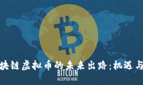 : 区块链虚拟币的未来出路：机遇与挑战