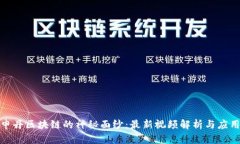 揭开申丹区块链的神秘面纱：最新视频解析与应