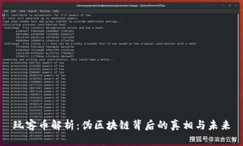 玩客币解析：伪区块链背后的真相与未来