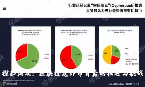 探秘湖北: 区块链龙虾币背后的机遇与挑战