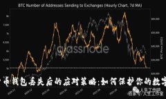 加密货币钱包丢失后的应