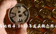 区块链与比特币：2023年龙