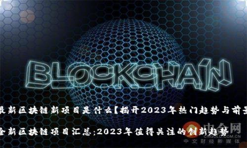 最新区块链新项目是什么？揭开2023年热门趋势与前景

全新区块链项目汇总：2023年值得关注的创新趋势