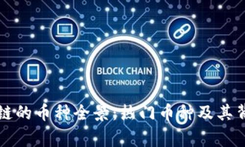 中国区块链的币种全景：热门币种及其背后的故事