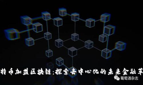 比特币加盟区块链：探索去中心化的未来金融革命