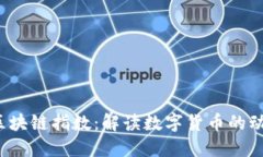 2023年最新区块链指数：解