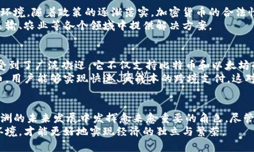   非洲加密货币钱包：数字货币新时代的资产保护与投资机遇 / 

 guanjianci 非洲, 加密货币, 钱包, 数字货币, 投资机会 /guanjianci 

引言
在当今这个迅速发展的数字经济时代，加密货币逐渐从边缘走向中心，成为全球金融交易的重要组成部分。在非洲，随着移动互联网的普及和金融科技的迅猛进步，加密货币钱包的使用也在不断增加。这不仅是因为加密货币本身所承载的投资机会，更是由于其在解决传统金融系统的缺陷、提升金融包容性方面的巨大潜力。

非洲的金融背景与挑战
非洲拥有五十多个国家，每个国家的经济状况、金融体系以及金融政策各不相同。从某种意义上说，非洲是一个多样性极为丰富的大陆。许多国家以农业为主，贫困、失业和通货膨胀等问题普遍存在。在这样的背景下，传统的银行系统往往难以到达所有的民众，特别是在偏远和农村地区。而这时，加密货币钱包的出现，无疑为这些问题提供了一种新思路。

为什么选择加密货币钱包？
对于许多非洲用户来说，加密货币钱包的便利性无疑是一大优势。用户只需通过手机应用程序便可轻松管理和转移资产。相比传统银行，操作快捷且无须繁琐的身份验证程序。此外，基于区块链技术的透明度和安全性，使得用户对于资金的安全性有了更高的保障。
在非洲，电信网络的建设也促进了加密货币的普及。许多人没有银行账户，但有手机，借助加密货币钱包，他们能够参与到全球经济中来。这种金融包容性令无数人开始关注并投资于加密货币。

加密货币钱包的种类
在选择加密货币钱包时，用户有多种选择。一般来说，加密货币钱包可以分为以下几类：
ul
    listrong热钱包：/strong这类钱包通常通过互联网连接，使用方便，适合日常交易。用户可以轻松随时随地进行交易，但相对而言，其安全性较低。/li
    listrong冷钱包：/strong冷钱包是离线存储的方式，适合用于长期资产的储存。例如，硬件钱包就是一种常见的冷钱包，安全性高，但使用起来不如热钱包便捷。/li
    listrong纸钱包：/strong纸钱包是将私钥和公钥印刷在纸上的一种存储方式，虽然不易受黑客攻击，但一旦丢失或损坏，将无法找回。/li
/ul

如何安全使用加密货币钱包
在使用加密货币钱包时，用户需要注意安全问题。首先，选择一个信誉良好的钱包服务提供商至关重要。在设置钱包时，用户应创建强密码，并启用双重认证，以进一步提升安全性。还应定期备份钱包，以防数据丢失。此外，避免在公共Wi-Fi环境下进行交易，以减少被窃取的风险。

非洲加密货币市场的未来
对于非洲来说，加密货币的未来充满希望。根据相关研究，越来越多的非洲国家正在探索加密货币的监管政策，旨在为这一新兴市场提供一个健康的生态环境。随着政策的逐渐落实，加密货币的合法性和接受度无疑会大幅提升，吸引更多投资者的参与。
而且，加密货币技术的创新也将在非洲的基础设施建设中发挥重要作用。区块链技术能够帮助政府提高透明度，减少腐败现象，同时还可以在金融、航空运输、农业等各个领域中提供解决方案。

加密货币钱包在非洲的具体应用案例
在非洲，不少初创企业也在积极发挥自己的作用，通过创新应用加密货币钱包来满足本地居民的需求。例如，在南非，有一款名为“Luno”的加密货币钱包受到了广泛欢迎，它不仅支持比特币和以太坊的交易，还提供了便捷的交易功能，使得用户能够轻松参与到这一新兴市场中来。
另外，在尼日利亚，有一些应用程序为用户提供了加密货币钱包与传统银行账户的桥接功能，使用户能够轻松进行汇款交易。通过加密货币，尤其是稳定币，用户能够实现快速、低成本的跨境支付，这对于在海外工作的尼日利亚人来说，解决了他们向家乡发送汇款的问题。

结语
综上所述，非洲加密货币钱包的兴起不仅仅是金融科技的创新，也是推动经济发展的重要力量。随着用户的不断增加和市场的不断成熟，加密货币将在非洲的未来发展中发挥愈来愈重要的角色。尽管面临一些挑战，但我们有理由相信，加密货币的普及和应用会为越来越多非洲人提供新的投资机会与金融解决方案，为这个多元化的大陆注入新的活力。
非洲拥有丰富的机会，同时也面临挑战。在全球化的今天，拥抱数字货币与金融科技，或许是非洲走向持续发展的重要一步。只有不断适应这一新的金融环境，才能更好地实现经济的独立与繁荣。
