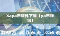 今日区块链币价格行情新