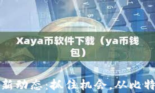 
今日区块链币价格行情新动态：抓住机会，从比特币到以太坊的市场分析