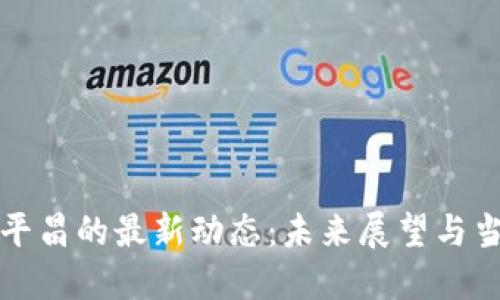 区块链技术在平昌的最新动态：未来展望与当地经济的融合