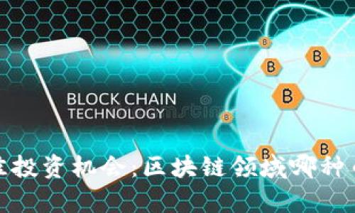 2023年最佳投资机会：区块链领域哪种币最有赚头？
