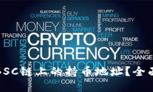 如何查看区块链BSC链上的持币地址？全面指南与实用技巧