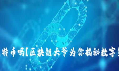 “你听说过比特币吗？区块链大爷为你揭秘数字货币的未来！”