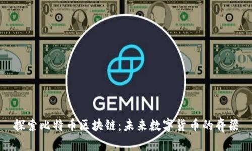 探索比特币区块链：未来数字货币的脊梁