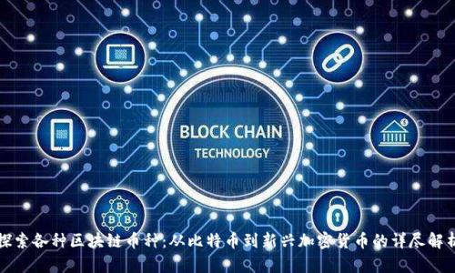 探索各种区块链币种：从比特币到新兴加密货币的详尽解析