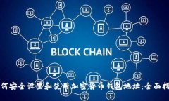 如何安全设置和使用加密