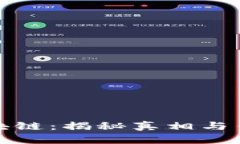 骆驼币区块链：揭秘真相