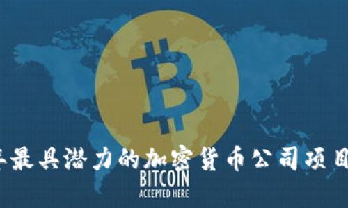 2023年最具潜力的加密货币公司项目全解析