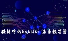 探秘火币区块链中的Rabb