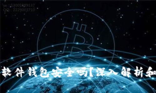 加密货币软件钱包安全吗？深入解析和风险提示