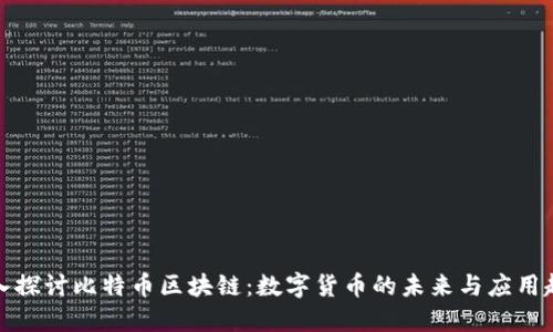 深入探讨比特币区块链：数字货币的未来与应用趋势