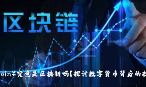 飞币（Flycoin）究竟是区块链吗？探讨数字货币背后的技术与应用