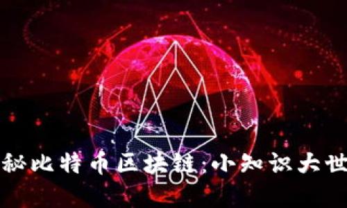 揭秘比特币区块链：小知识大世界