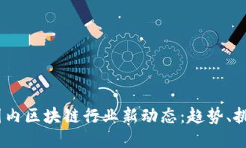 2023年国内区块链行业新动态：趋势、挑战与机遇