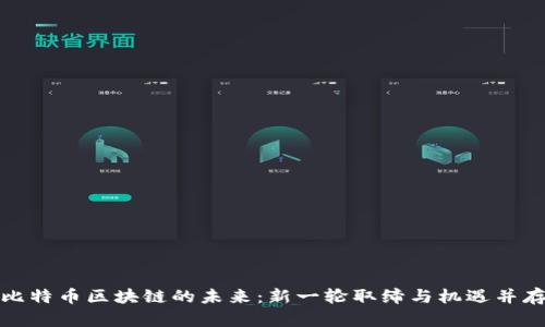 比特币区块链的未来：新一轮取缔与机遇并存