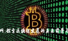 满币网：探索区块链发展