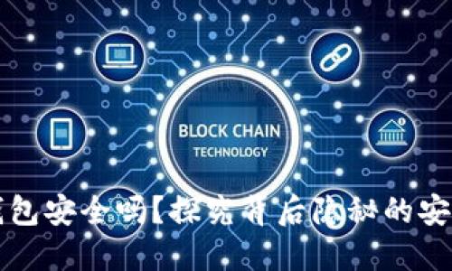 北美加密货币钱包安全吗？探究背后隐秘的安全性与用户保护