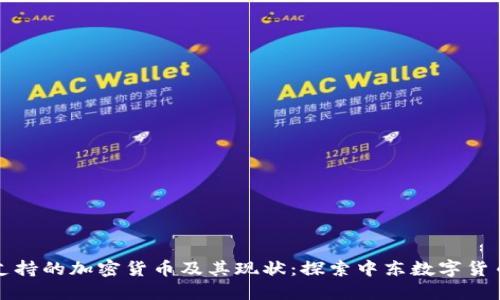 叙利亚支持的加密货币及其现状：探索中东数字货币的未来