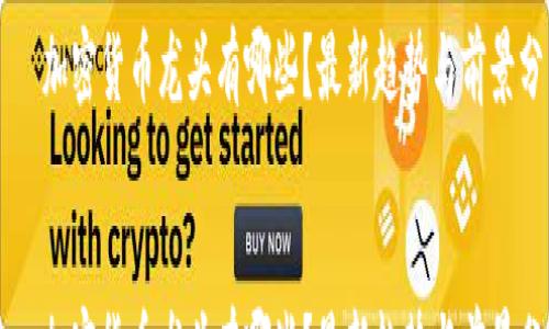 
  
    加密货币龙头有哪些？最新趋势与前景分析
  
  
    加密货币龙头有哪些？最新趋势与前景分析