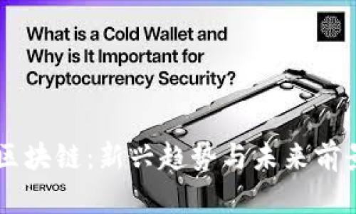 币萌区块链：新兴趋势与未来前景解读