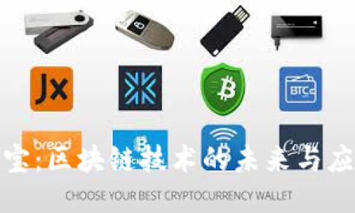 探索币宝：区块链技术的未来与应用趋势