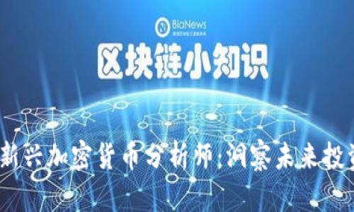 2023年新兴加密货币分析师：洞察未来投资新趋势