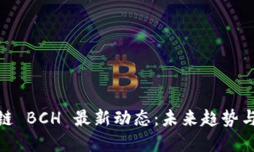 探索区块链 BCH 最新动态：未来趋势与投资机会
