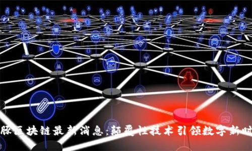 海豚区块链最新消息：颠覆性技术引领数字新时代