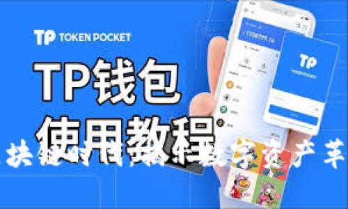 无币不区块链时代：揭示数字资产革命的核心