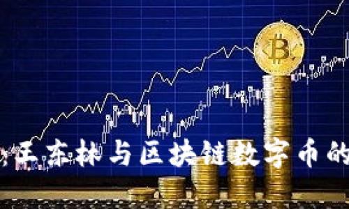 深入探讨：王东林与区块链数字币的未来趋势