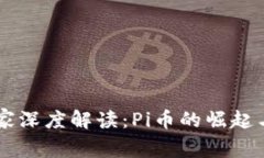 区块链专家深度解读：P