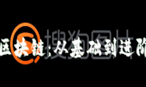 揭秘大币哥区块链：从基础到进阶的全面解析