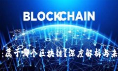 青蛙币：属于哪个区块链