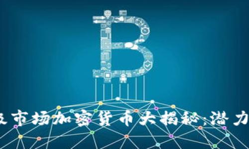 2023年最新一级市场加密货币大揭秘：潜力币种与投资攻略