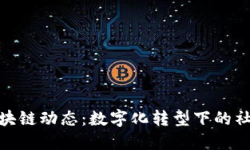 人社部最新区块链动态：数字化转型下的社会保障新机遇