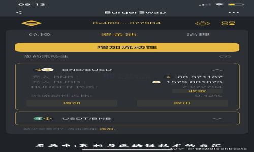 石头币：真相与区块链技术的交汇